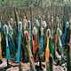 Illustration for article titled Artists Trash Exhibitions Depict A Planet Colonized By Plastic